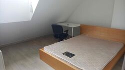 Mandarin Park (D21), Apartment #516932121